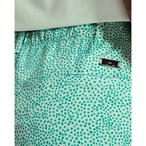 Dámské kraťasy Under Armour Links Printed Short