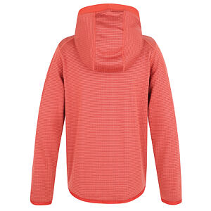 Dětská mikina s kapucí Husky Artic Zip K