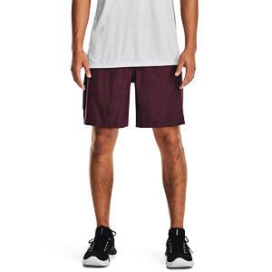 Pánské kraťasy Under Armour Tech Vent Shorts