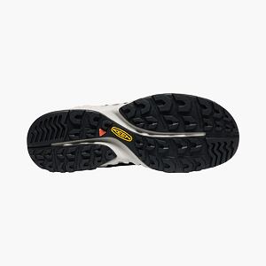 Pánská sportovně-outdoorová obuv Keen NXIS Evo Mid WP MAN