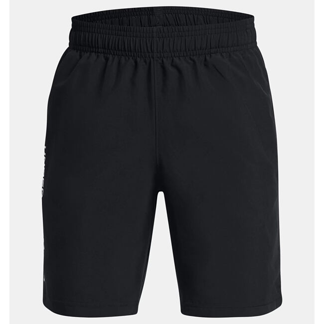 Chlapecké kraťasy Under Armour Tech Woven Wordmark Short