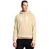 Pánská mikina Under Armour Rival Fleece Logo HD