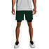 Pánské kraťasy Under Armour Vanish Woven 2in1 Shorts